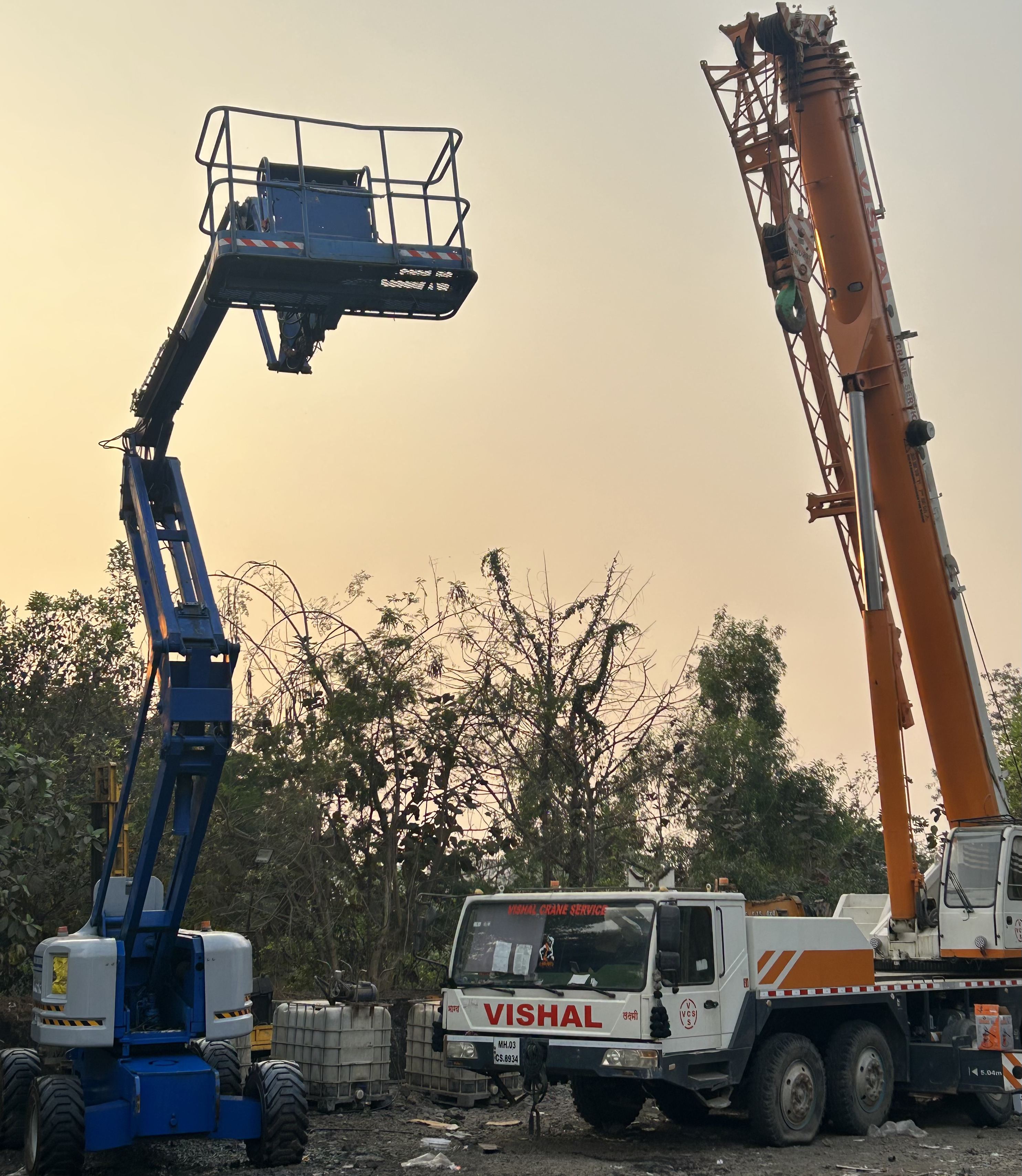 Vishal Crane Service Heavy Crane Fleet